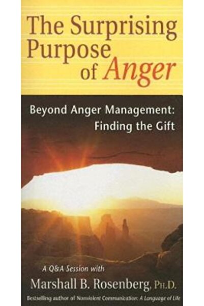 Puddledancer Press Scopul surprinzător al furiei: Dincolo de gestionarea furi...