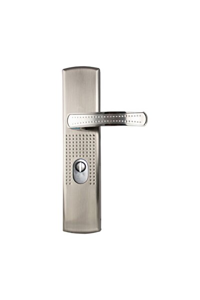 OEM Universal Handle with Plate, Standard Lock, Compatible with Metallic Door Kastilio, Baron, BestImp,