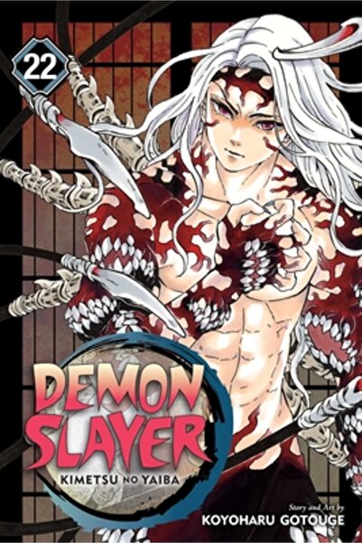 Viz LLC Demon Slayer: Kimetsu No Yaiba, Vol. 22, volumul 22