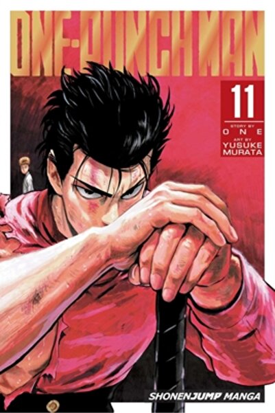 Routledge Chapman Hall One-Punch Man, Vol. 11