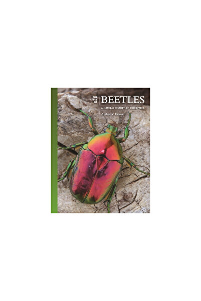 Princeton Univ Pr Viețile gândacilor: o istorie a coleopterelor