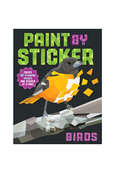 Workman Pub Co Pictează cu autocolant: Păsări: Creează 12 imagini uimitoare, ...