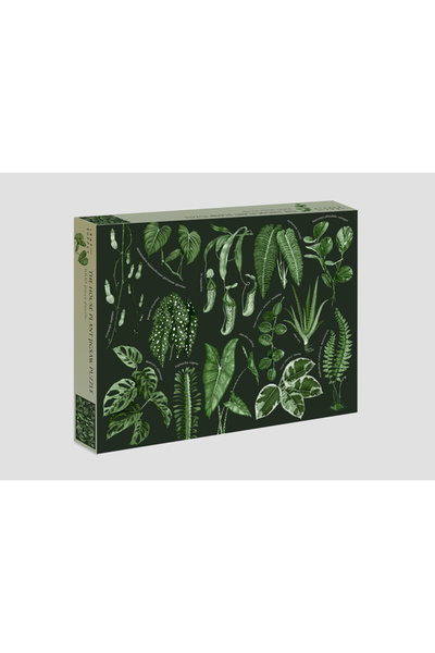 Smith Street Books Leaf Supply: Puzzle cu planta de casă: Puzzle cu 1000 de piese