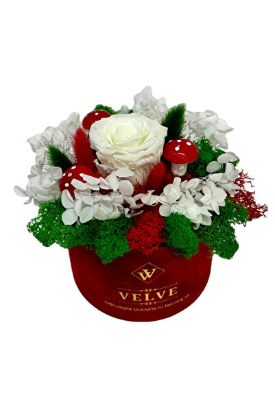 velve Aranjament floral Crio, licheni naturali stabilizati, hortensii criogen...