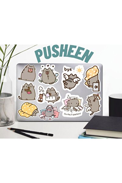 Hediyeni Al مجموعة ملصقات بوشين |   ملصق للكمبيوتر المحمول والدفتر والتابلت والهاتف ودفتر الملاحظات ومجلة البوليت