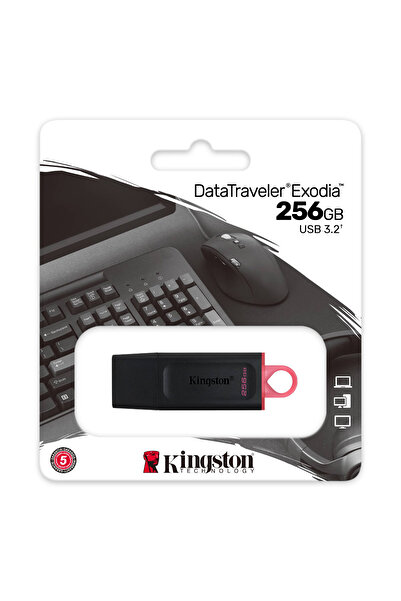 Kingston Stick de memorie USB 3.2 Gen 1, 256 GB, DataTraveler Exodia DTX-256 GB, cu capac și inel