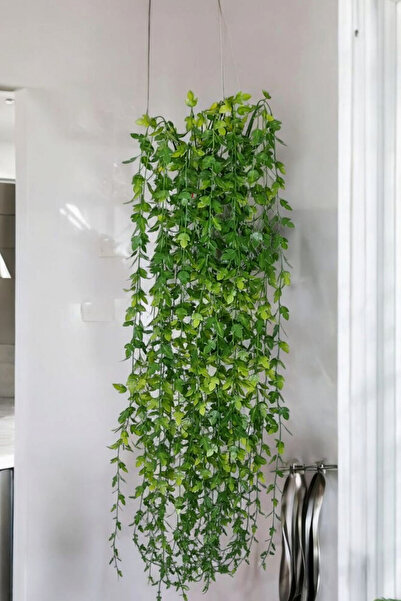 MD Aspiz Flowers 2 Demet Yapay Yoğun Yapraklı Yeşil Sarkıt 70 cm ( Saksısız ) Sarkan Sarmaşık Ağaç Duvar Asılı balkon