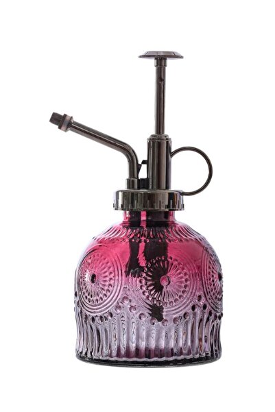 Lexi Bella Şık Tasarımlı Ev Bahçe Saksı Çiçeklerine Özel Cam Bitki Sulama Fıs...