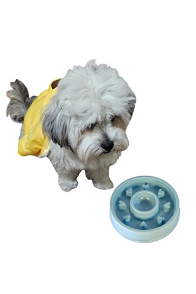 Vadodara Bol pentru câini cu mâncare lentă, Happy Hunting, formă de inimă, albastru deschis, antiderapant, diametru 17,5 cm