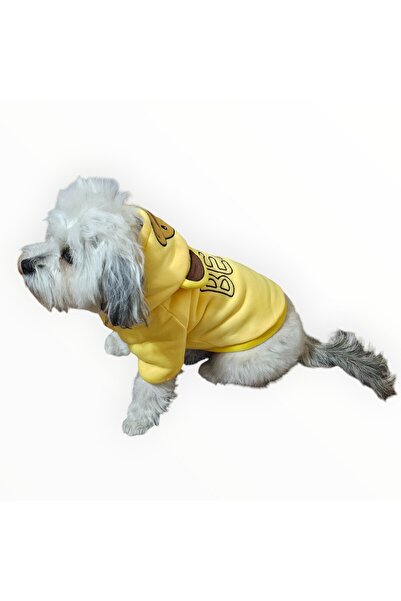 duoguo Hanorac pentru câini cu căptușeală Sherpa și glugă tip ureche de urs, închidere cu capsă, mărimea M, galben