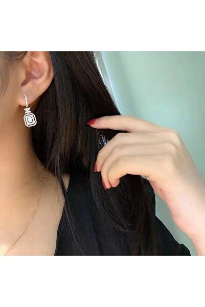 Pursehuit Cercei de culoare argintie cu pietre de zirconiu, Nathaly C15