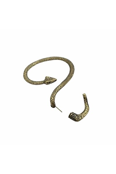 Pursehuit Cercei culoare aurie, cufăr pentru urechi, formă de șarpe, Rosaline C1