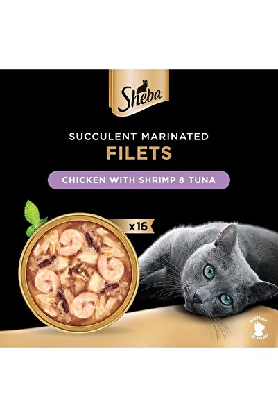SHEBA طعام القطط دجاج مع روبيان وشرائح تونة، من صدور دجاج طبيعية، عبوة من 16 قطعة × 60 غرام