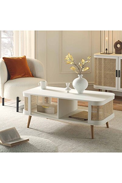 AYKOL MOBİLYA İSKANDİNAV TARZI HAZERANLI ORTA SEHPA