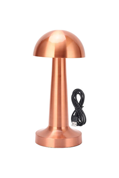 ETRONIK Copper Mushroom Night Lamp, LED Desk and Table Lamp Bedroom Living Room with 3-Color Touch Control
