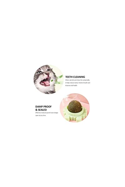 Mercaton Interactive Toy for Cats with 360° Rotating Ball Made of Catnip Grass, 5.5 cm, Green