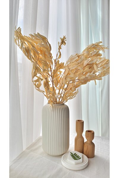 FURNİCO Sarı Zeytindalı, Şoklanmış Zeytin Yaprağı, Şoklanmış Çiçek, Sonbahar ...