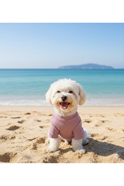 Lokums Handmade Basic Dog Clothes (for Small and Medium Breeds)