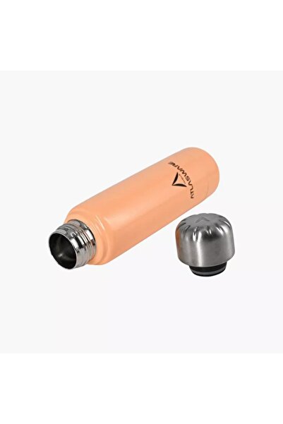 Generic Atlasware Stainless Steel Water Bottle - 220 ml