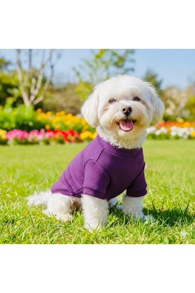 Lokums ملابس أساسية للكلاب مصنوعة يدويًا (للفئات الصغيرة والمتوسطة)