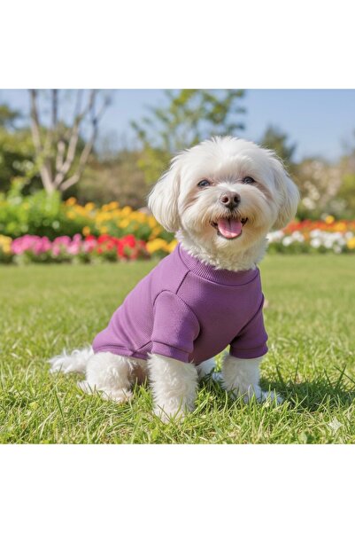 Lokums ملابس أساسية للكلاب مصنوعة يدويًا (للفئات الصغيرة والمتوسطة)