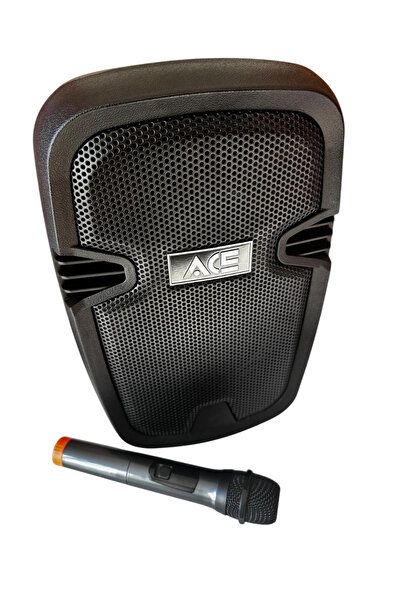 ACE AUDIO PAQ-8BL 100 WATT ŞARJLI AMFİ