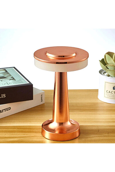 ETRONIK Copper Cylindrical LED Night Lamp, Desk & Table Lamp Bedroom Living Room with 3-Color Touch Control