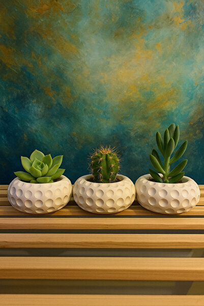 Omerella 3 lü Yuvarlak Kaktüs Sukulent Saksı