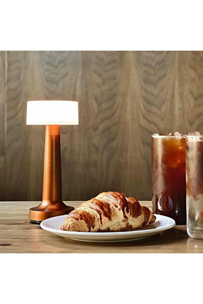 ETRONIK Copper LED Touch Control Desk Lamp and Night Light - Portable 3 Colors for Bedroom, Restaurant & Bar