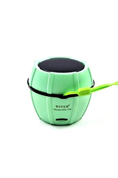 Wster Portable Speaker WS-Y02