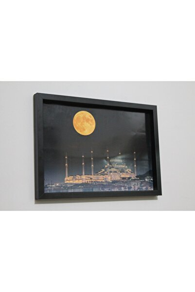 LİFE GLOBAL Picture Frame Black 20X30 Single Piece with Picture and Pvc Protection