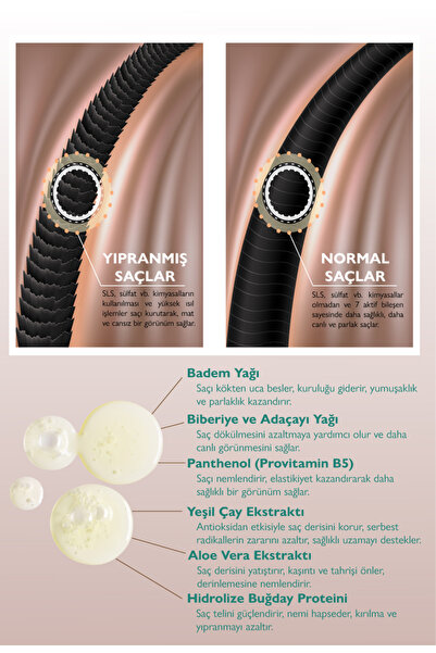 Bthera Natural %100 Doğal Besleyici Canlandırıcı Şampuan Badem Yağlı-Kuru Yıpranmış Saçlar-300ml