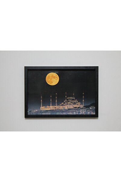 LİFE GLOBAL Picture Frame Black 20X30 Single Piece with Picture and Pvc Protection