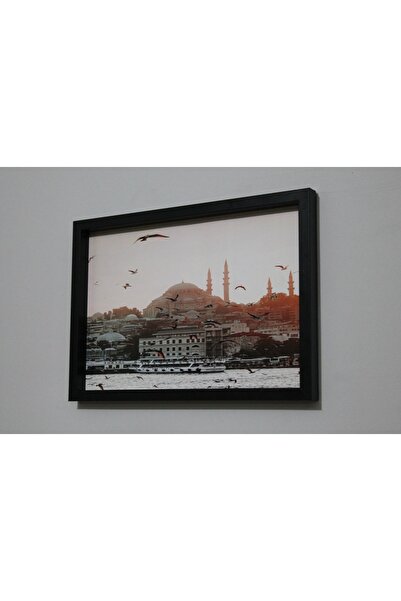 LİFE GLOBAL Picture Frame Black 20X30 Single Piece with Picture and Pvc Protection