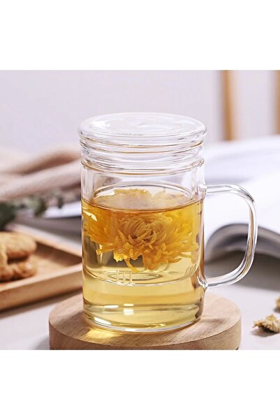 Genel Markalar Borosilikat Cam Kupa 350 Ml – Cam Kapaklı, Süzgeçli Demleme Kupa