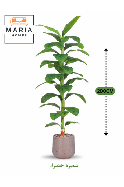 MARIA HOMES شجرة اصطناعية خضراء بأوراق خضراء 200 سم – نبات طويل مزخرف مع وعاء...