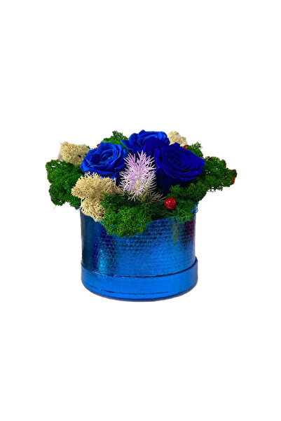 velve Aranjament Floral Midnight Dream cu 3 trandafiri criogenati pe pat de licheni stabilizati, Albastru