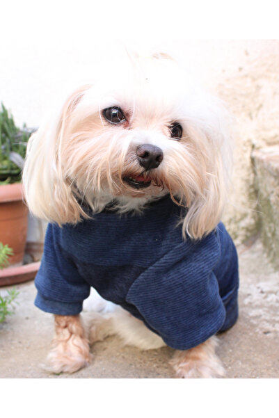 petite pati Lacivert Köpek Kazak – Şık ve Sıcak Kışlık Köpek Giysisi