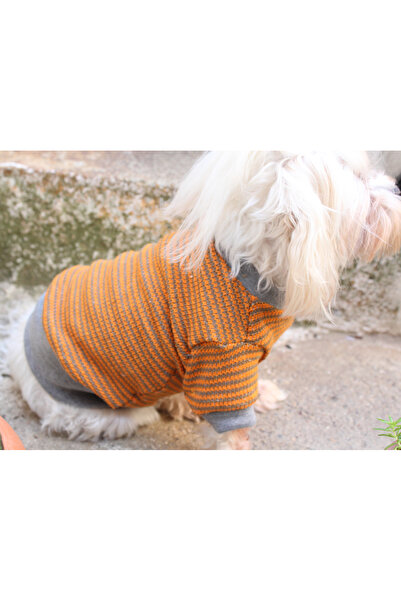 petite pati Hardal Rengi Köpek Kazak – Sıcak Tutan Şık Kışlık Evcil Hayvan Giysisi