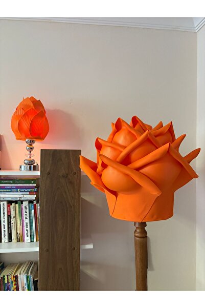 Rose bloome Eva gül lambader başlığı