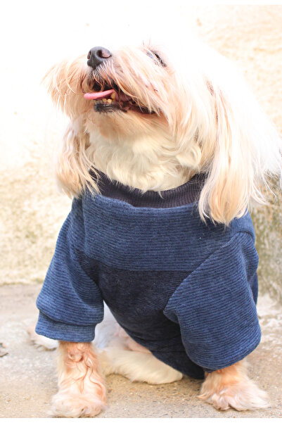 petite pati Lacivert Köpek Kazak – Şık ve Sıcak Kışlık Köpek Giysisi