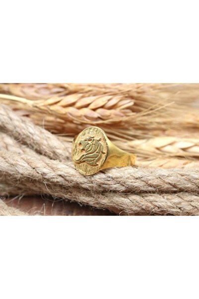 alpsilverart Aslan Burcu Gümüş Yüzük 925 Ayar Altın Kaplama | Unisex Gösterişli Astroloji Burç Takı Hediye