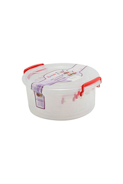 Perfect Home Set of 4 plastic food storage boxes