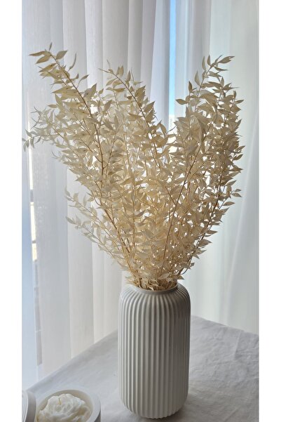 FURNİCO Beyaz Kokina & Şoklanmış Beyaz Kokina Demeti, Doğal Çiçek Dekoratif 5-6 Dal