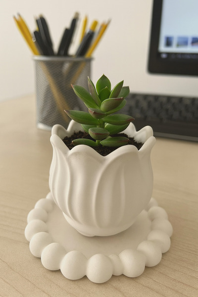 LalezarHome Dekoratif Beyaz Beton Saksı – Modern Masaüstü ve Ev Aksesuarı