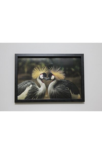 LİFE GLOBAL Picture Frame Black 20X30 Single Piece with Picture and Pvc Protection