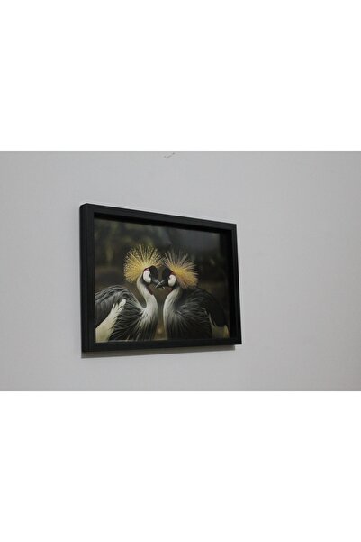 LİFE GLOBAL Picture Frame Black 20X30 Single Piece with Picture and Pvc Protection