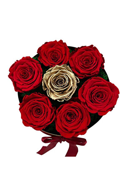 velve Aranjament floral cu 7 trandafiri criogenati, pe pat de licheni verzi, ...