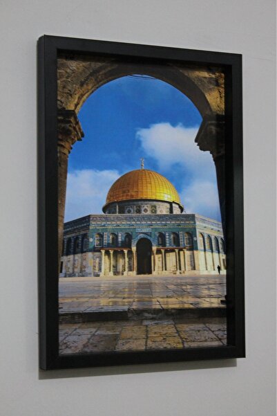 LİFE GLOBAL Picture Frame Black 20X30 Single Piece with Picture and Pvc Protection