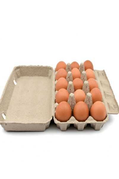 Earth Goods Organic Eggs EG Organic Brown Eggs 15s x 8